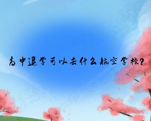 高中退學(xué)可以去什么航空學(xué)校？