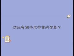沈陽招空乘的學(xué)校有哪些？