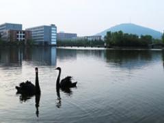 安徽有哪些培養(yǎng)空乘的學(xué)校？