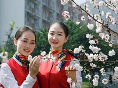春秋航空國內(nèi)首推微信訂機(jī)票服務(wù) 4月可微信值機(jī)