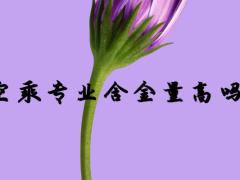 空乘專業(yè)含金量高嗎？