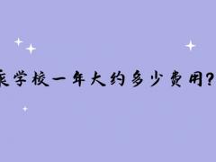 讀空乘學(xué)校一年大約多少費用？