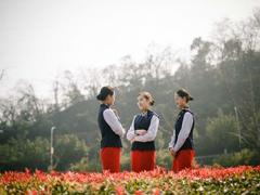 航空：機(jī)長(zhǎng)睡不好，飛機(jī)不起飛?