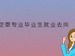 空乘畢業(yè)生可以去高鐵上班嗎？