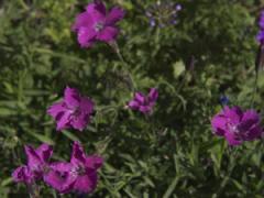 北京第二外國語學(xué)院國際教育學(xué)院空乘專業(yè)職業(yè)教育好嗎？招不招初中生？