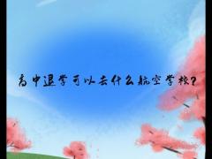 高中退學(xué)可以去什么航空學(xué)校？